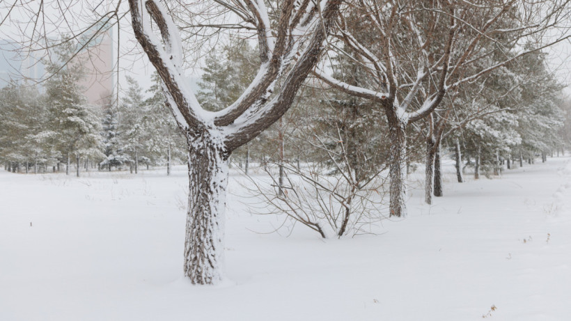  © El.kz/Артем ЧУРСИНОВ 