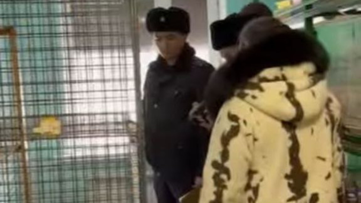  Видеодан кадр 