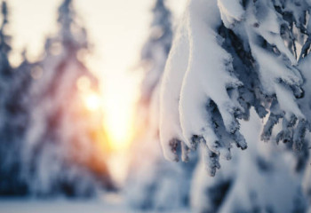 Боран, тұман, көктайғақ: 3 ақпанда ауа райы қандай болады