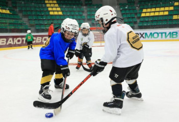 Два крытых хоккейных корта появятся в селах Костанайской области