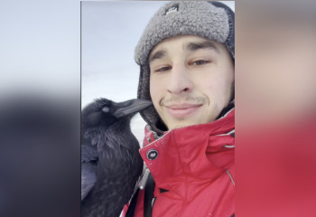 «Умнее собаки» - домашний питомец ворон Гоша демонстрирует невероятный интеллект