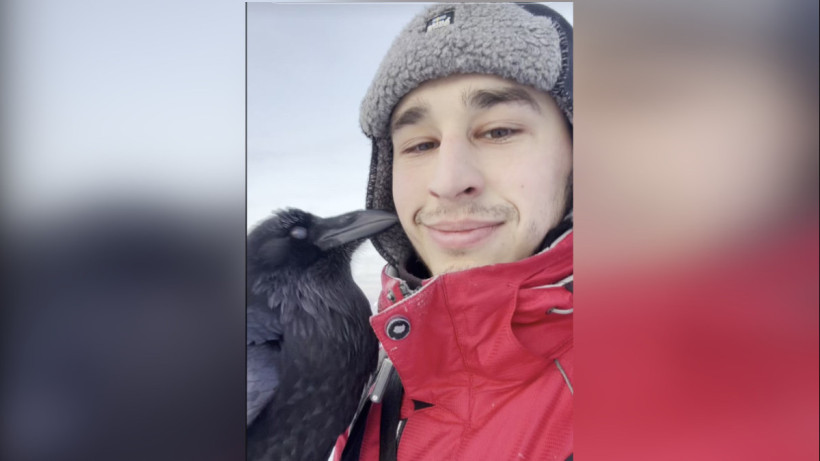  Кадр из видео 