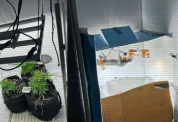 Бір тәулікте үш есірткі зертханасы жойылды