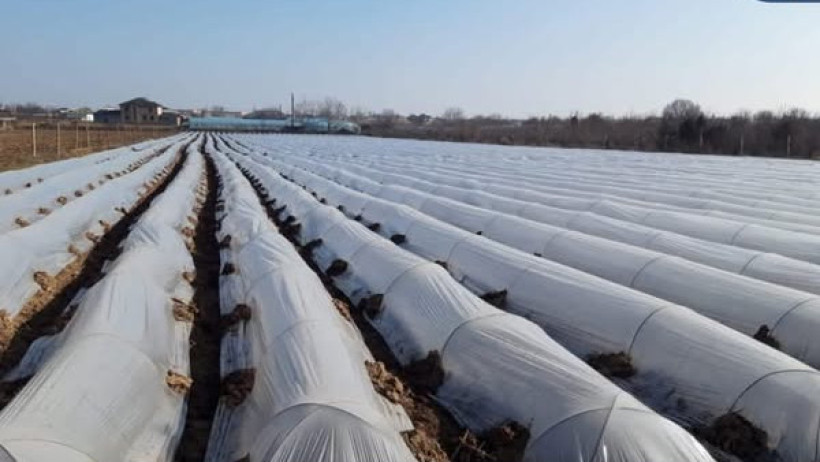  Өңірлік коммуникациялар қызметі 