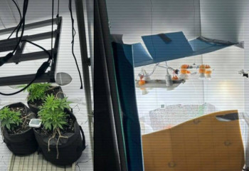 За сутки полиция ликвидировала три нарколаборатории