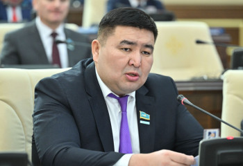 «Нақты көрініс бұрмаланған». Депутат жұмыссыздық мәселесін көтерді