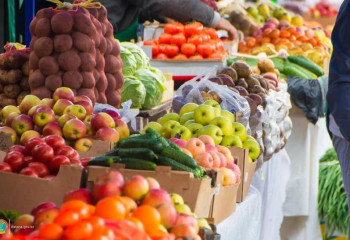 Былтыр қазақстандық АӨК өнімінің Грузияға экспорты 12,3%-ға өсті