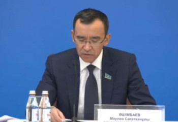 Мәулен Әшімбаев шығындарды қысқартуды Илок Масктен үйренуге шақырды