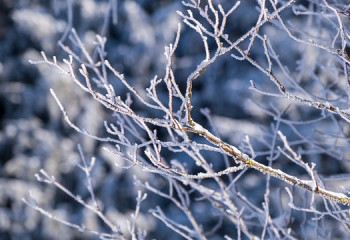 Демалыс күндері ауа райы қандай болады