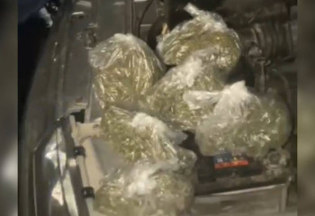 400 граммов марихуаны изъяли у водителя авто в Туркестанской области