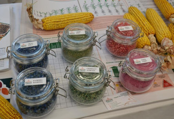 В борьбе за урожаи: день семян «ТҰҚЫМ-2025» прошел в Кокшетау