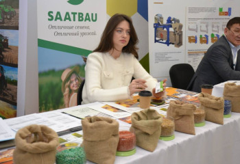 Көкшетауда тұқым күні өтті