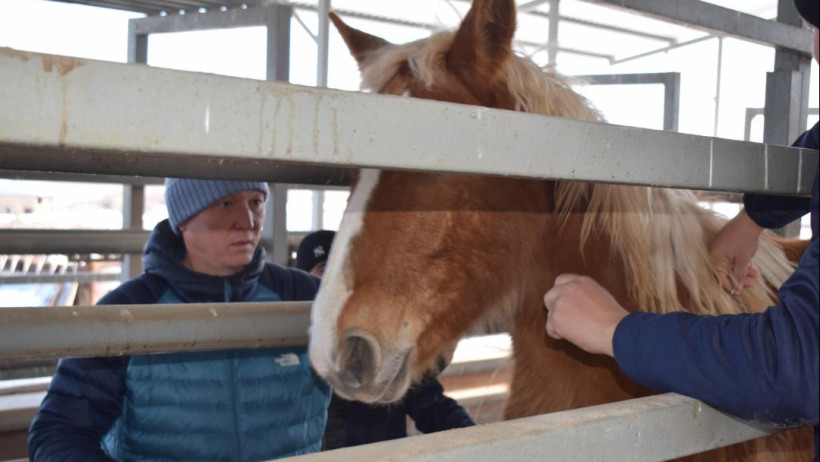  Жамбыл облысының әкімдігі 