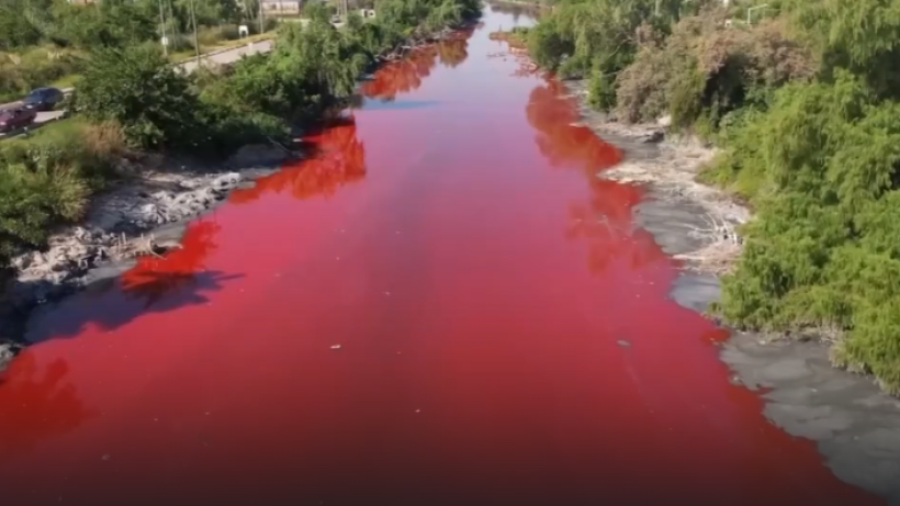  Скриншот видео 