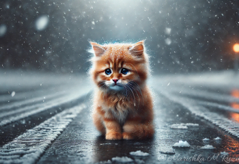 Прогноз погоды на 9 февраля: в Казахстане ожидается мороз без осадков