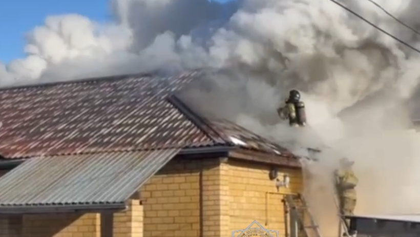  Видеодан кадр 