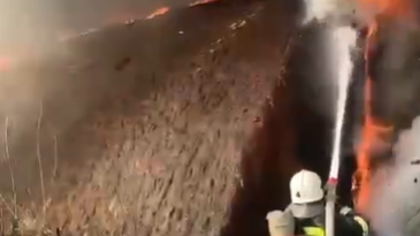  Видеодан кадр 