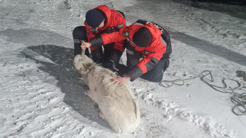  © пресс-служба МЧС РК 