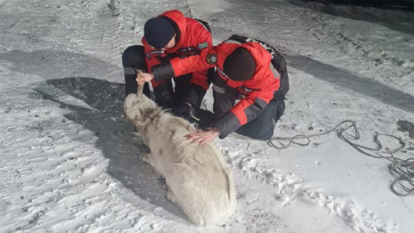  ТЖМ баспасөз қызметі 