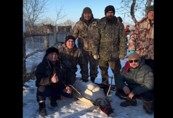 БҚО-да фермадан қашып кеткен бұғы табылды