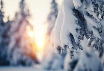 Алдағы күндері ауа райы тұрақсыз болады