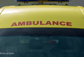 «4 мың теңге берген». Атырауда әкімдік ағаштан құлаған қызметкерге қатысты мәлімдеме жасады