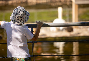 Әрбір бала қауіпсіз ортада өсуі тиіс – бас прокурор