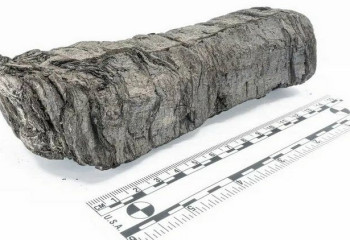 ИИ помог начать расшифровку древних свитков, пострадавших при извержении Везувия