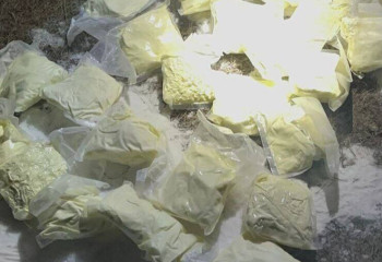 У двух жителей Алматинской области нашли 24 кг мефедрона и пистолет