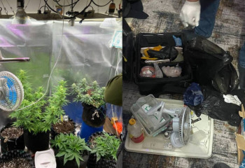 Степногорскіде фитозертхана анықталды: көрші мемлекеттің азаматы ұсталды