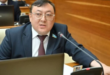 «Адамдығымыз қайсы»: Депутат ақыл-есі кем балалардың қамқоршыларының жанайқайын жеткізді