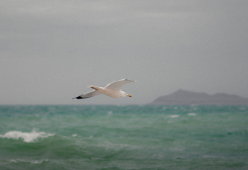 Солтүстік Арал теңізіне бір млрд текше метр су жіберілді