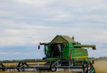 Сыр бойында күріштің 12 сорты егіледі