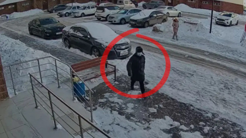  видеодан алынған кадр/tengrinews.kz 