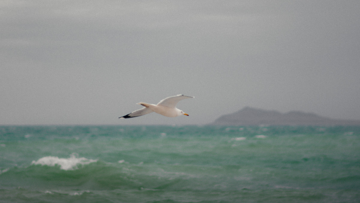  © El.kz 