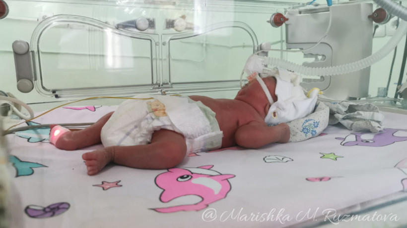  ©El.kz/Марина РУЗМАТОВА 