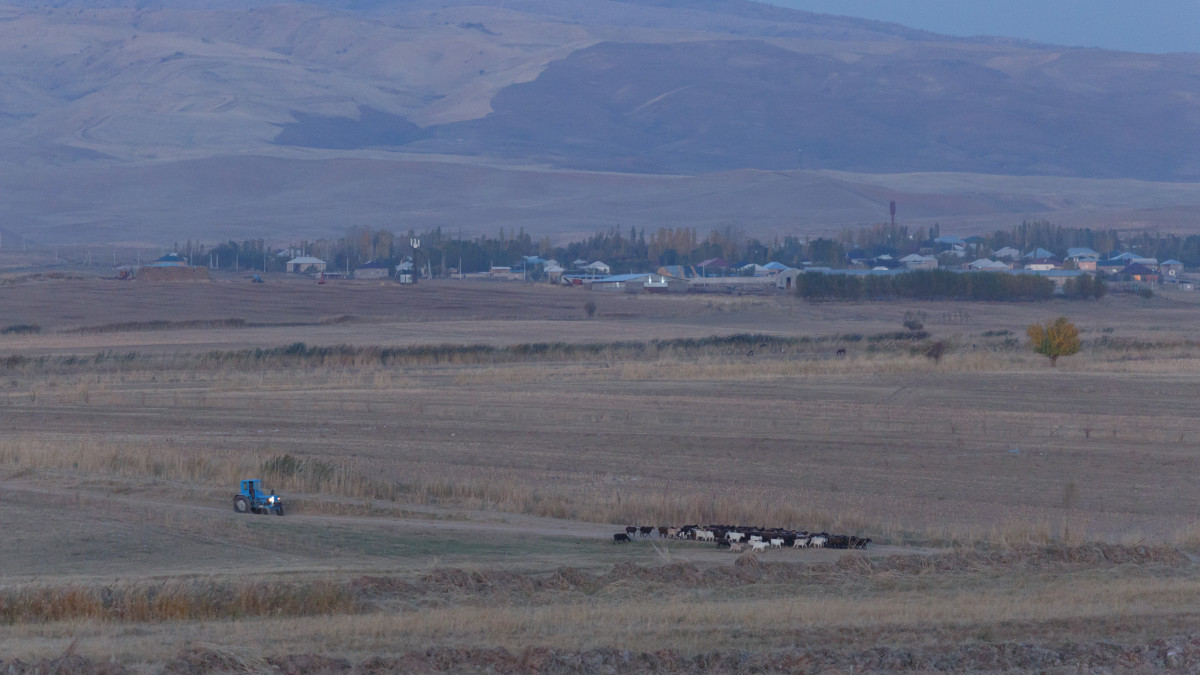  © El.kz/Артем ЧУРСИНОВ 