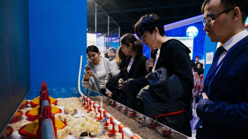  © Минпросвещения РК 