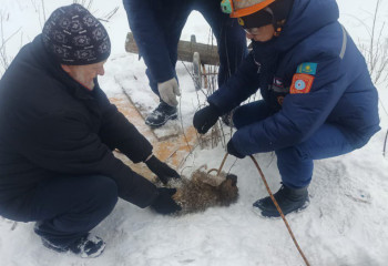 Уральские спасатели вызволили собаку из колодца