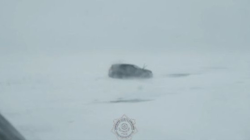  Видеодан кадр 