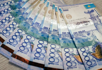 «Табысын өтірік көрсеткен». Салықшылар блогерлердің ізіне түсті