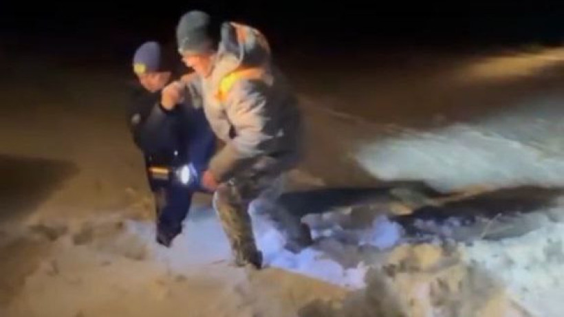  Видеодан кадр 