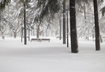 Қар, тұман және аяз: 19 ақпандағы ауа райы болжамы