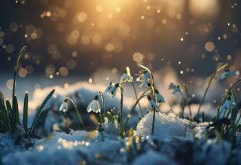 +15. Алдағы күндері күн күрт ысиды