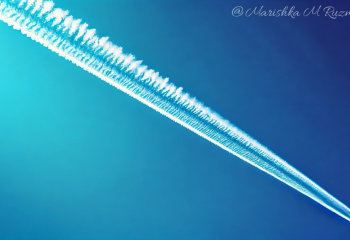 Казахстанские стартапы выходят на мировые рынки в области авиации