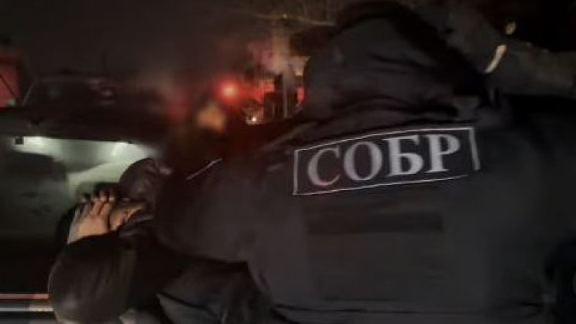  Видеодан кадр 