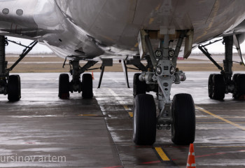 Елімізден Грузия мен Қытайға жаңа рейстер ашылады