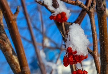 Демалыс күндері ауа райы қандай болады