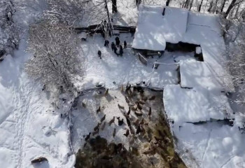 Жетісуда есірткі мен экстремистік материалдарды таратқан бірнеше адам ұсталды