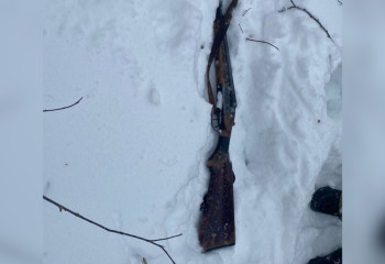 В Кокшетау задержали браконьеров с тушей косули